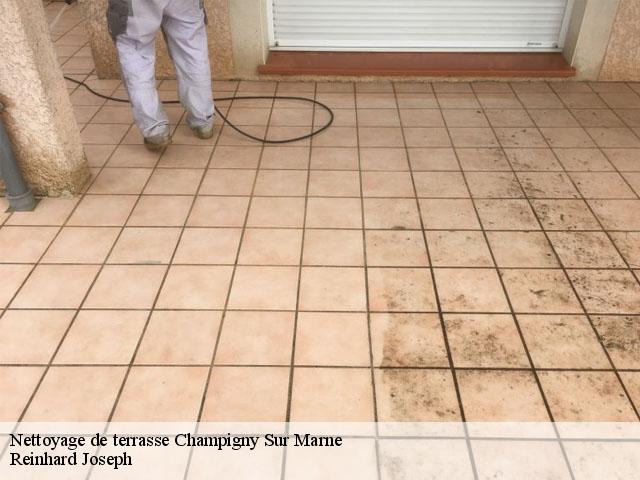 Nettoyage de terrasse  champigny-sur-marne-94500 Reinhard Joseph