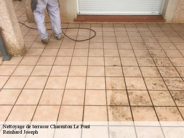 Nettoyage de terrasse  charenton-le-pont-94220 Reinhard Joseph