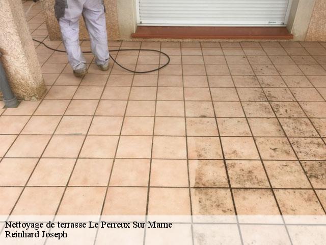 Nettoyage de terrasse  le-perreux-sur-marne-94170 Reinhard Joseph