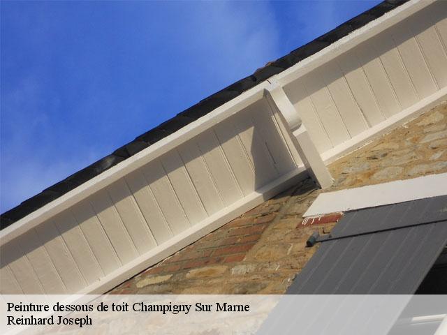 Peinture dessous de toit  champigny-sur-marne-94500 Reinhard Joseph